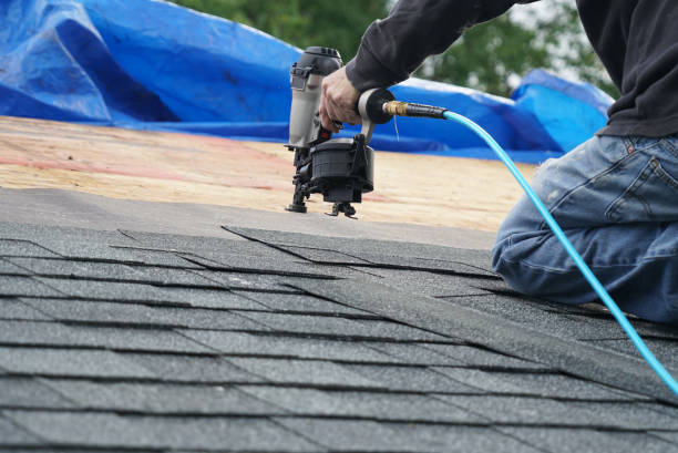 Best Roof Gutter Cleaning  in Elwood, NY